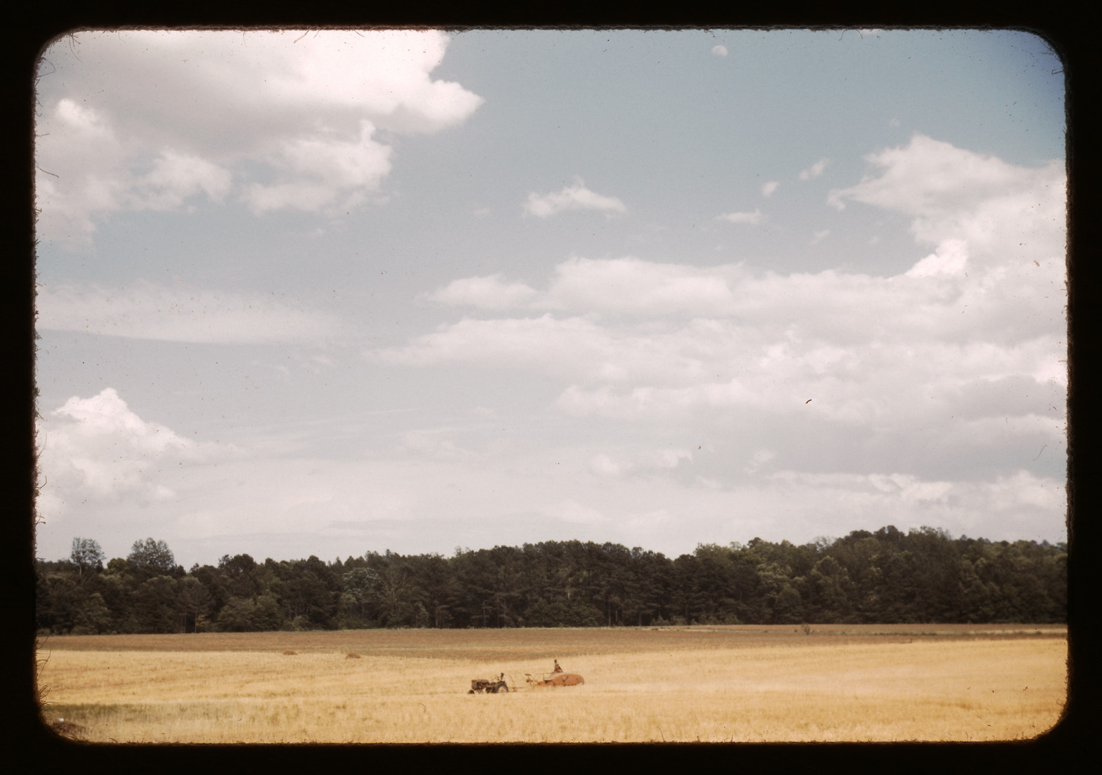 Golden field with tractor and wagon before tree line — historic image