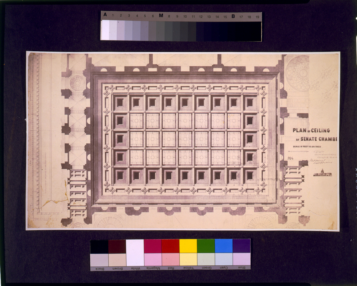[United States Capitol (Washington, D.C.). Extension. North Wing. Senate Chamber. Ceiling. Reflected plan rendering] / Tho. U. Walter, architect, extension, U.S. Capitol ; M.C. Meigs, capt. of engineers., and Engineering (ADE) Drawings" (http://www.loc.gov/rr/print/res/103_ade.html)." — historic image