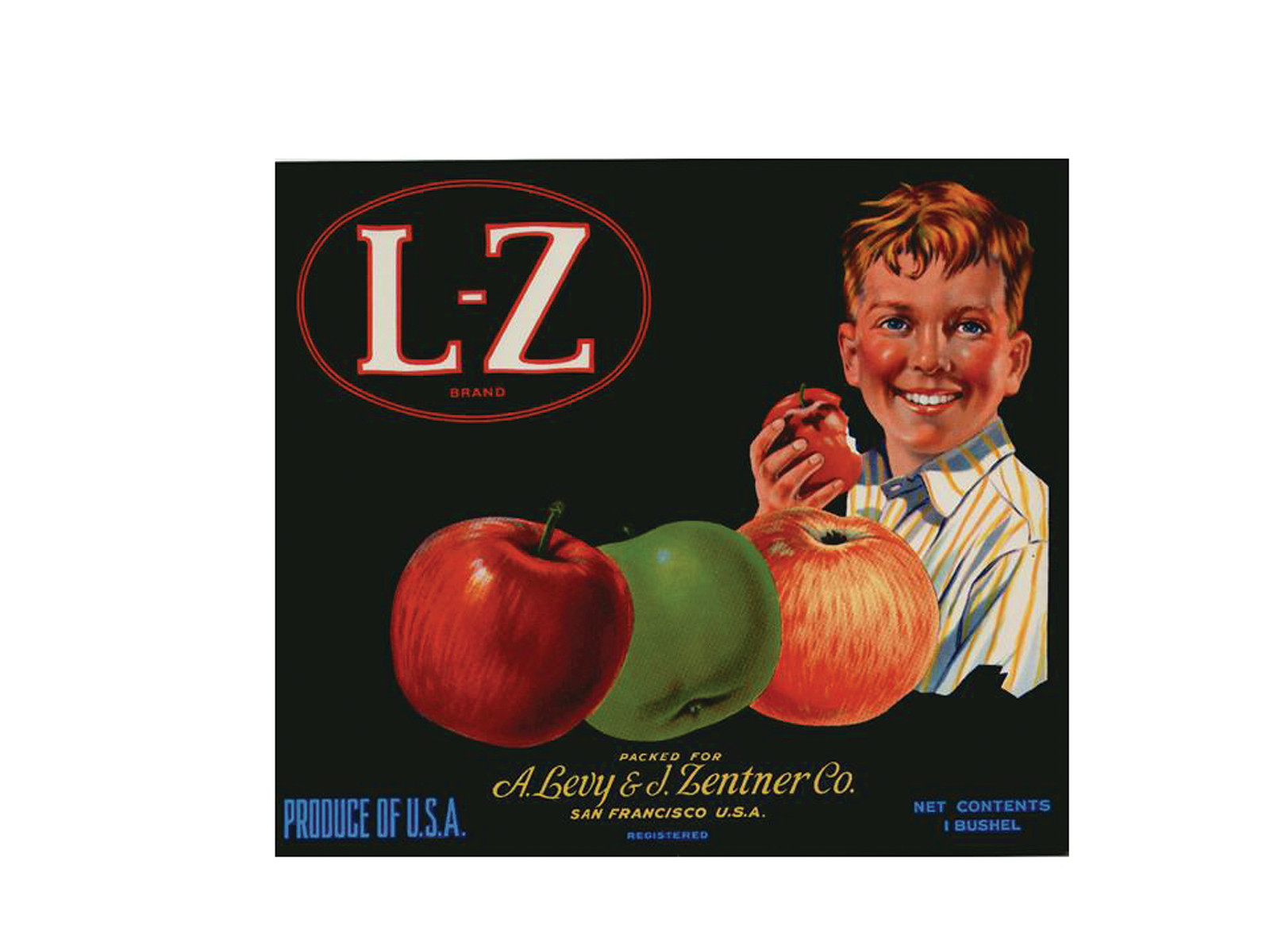L-Z Brand Apples Crate Label, Packed for A. Levy & J. Zentner Co. — historic image