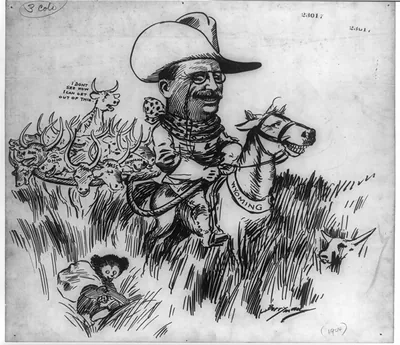 [Theodore Roosevelt as cowboy rounding up steers labeled as states]