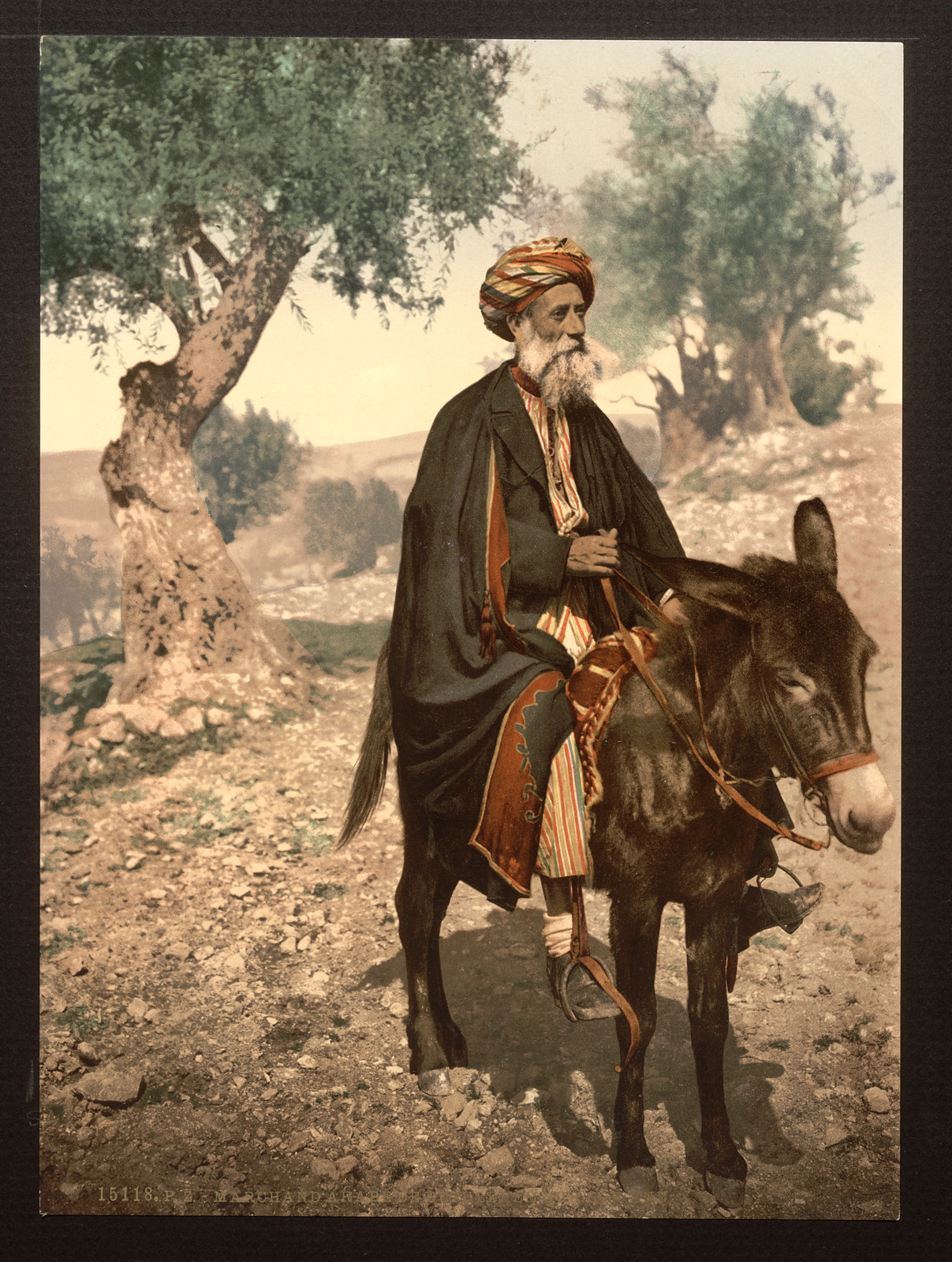 Native of Bethlehem on his donkey Holy Land (i.e. West Bank), [between ca. 1890 and ca. 1900]. — historic print