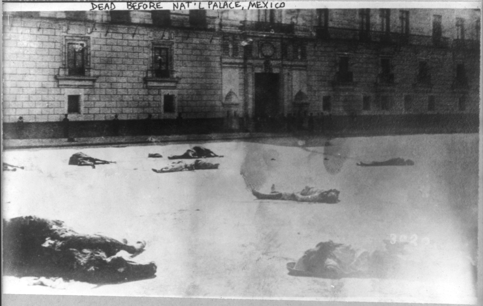 Mexico City - dead men & horses in street before National Palace, Feb. 1933, 1913 — historic photograph