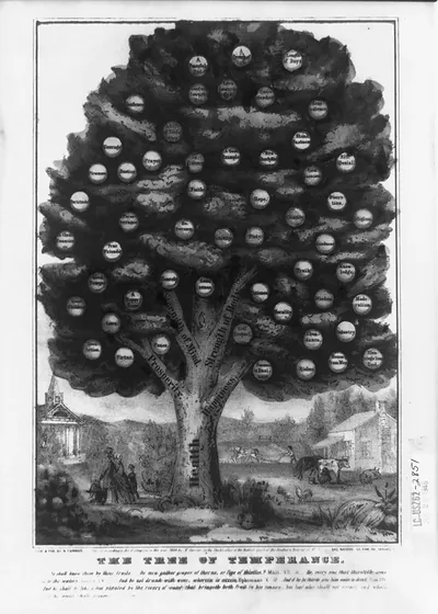 The tree of temperance