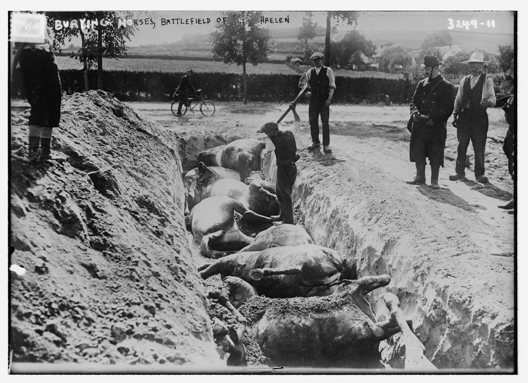 Burying horses, Battlefield of Haelen, n/a — historic photograph