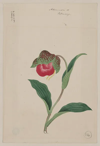 [Japanese drawing]