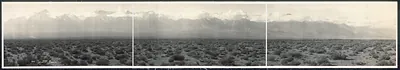 Sierra Nevada from Citrus, California, 1911