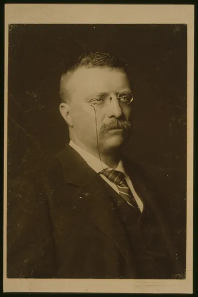 Theodore Roosevelt, No. 2