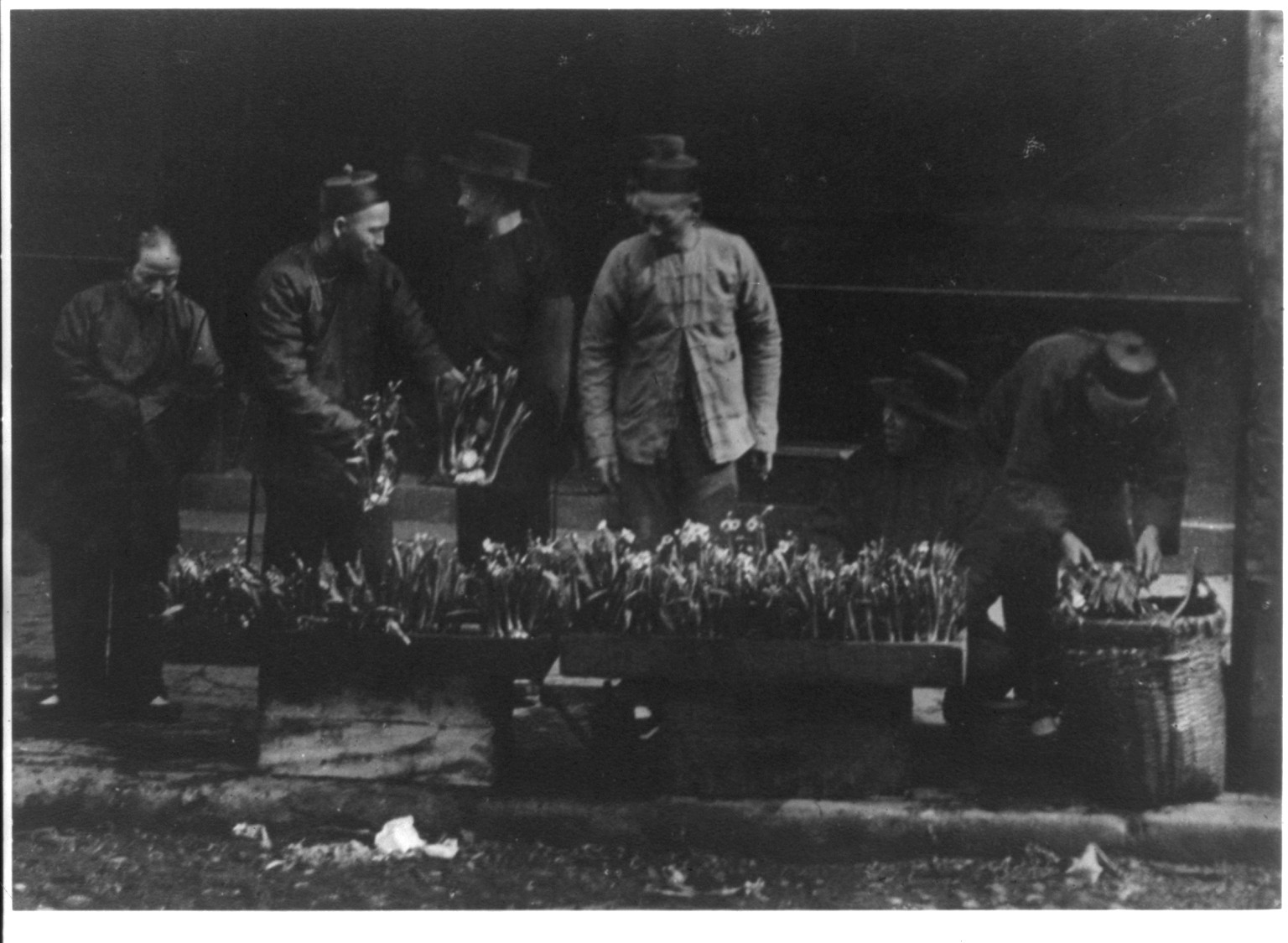 [San Francisco Chinatown, 1895-1900(?): street market; buying potted plants] — historic photograph
