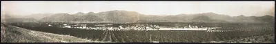Lemon Cove, California, 1914