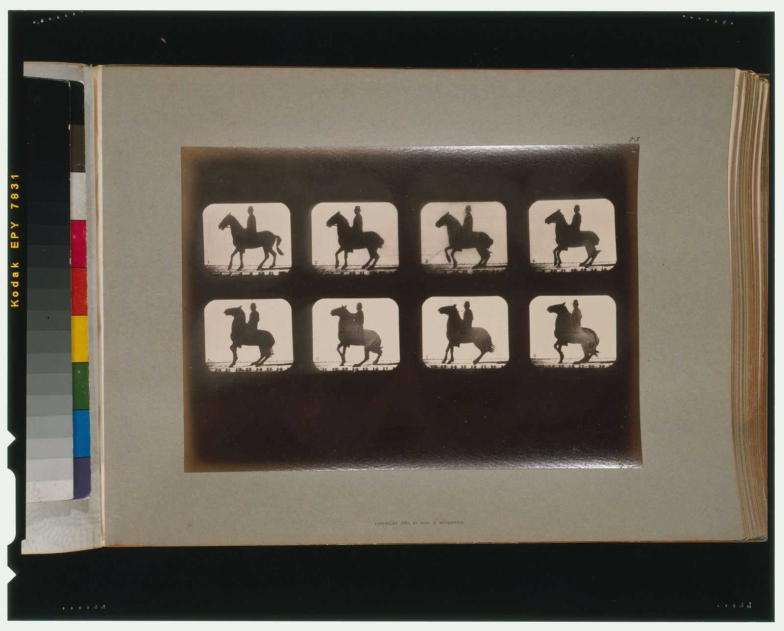 Horses. Backing, [San Francisco] : Muybridge, c1881. — historic photograph