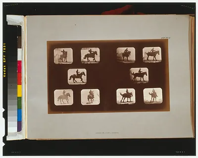 Horses. Running