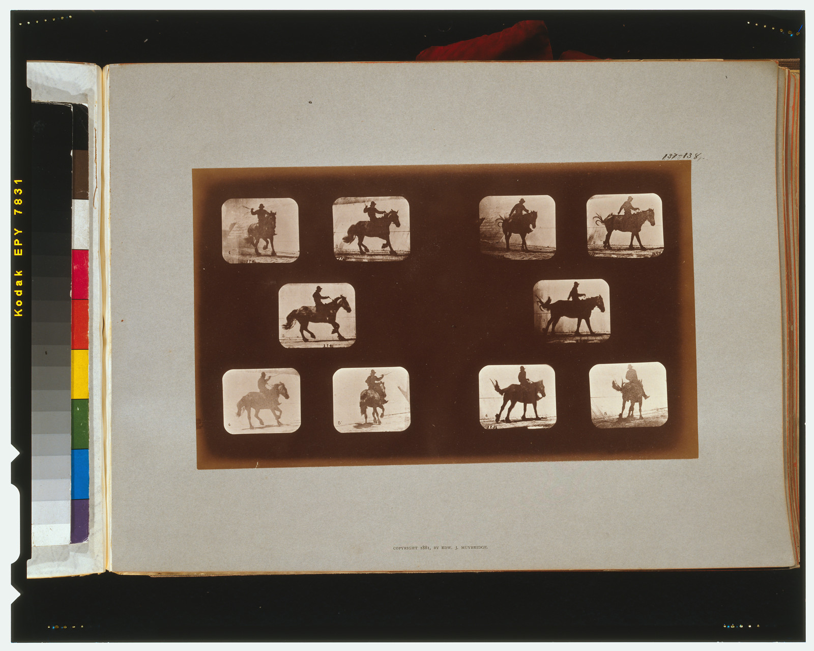 Horses. Running, [San Francisco] : Muybridge, c1881. — historic photograph