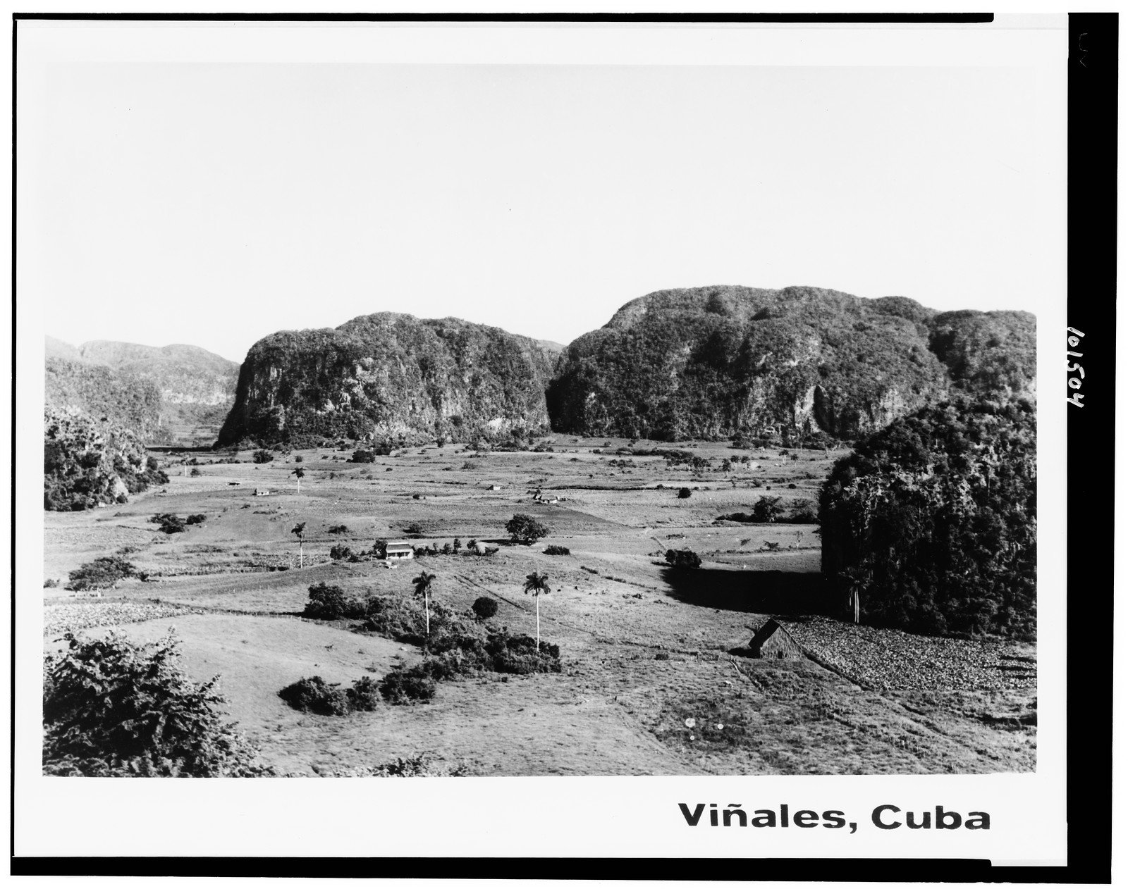 Viñales, Cuba, [1964?] — historic photograph