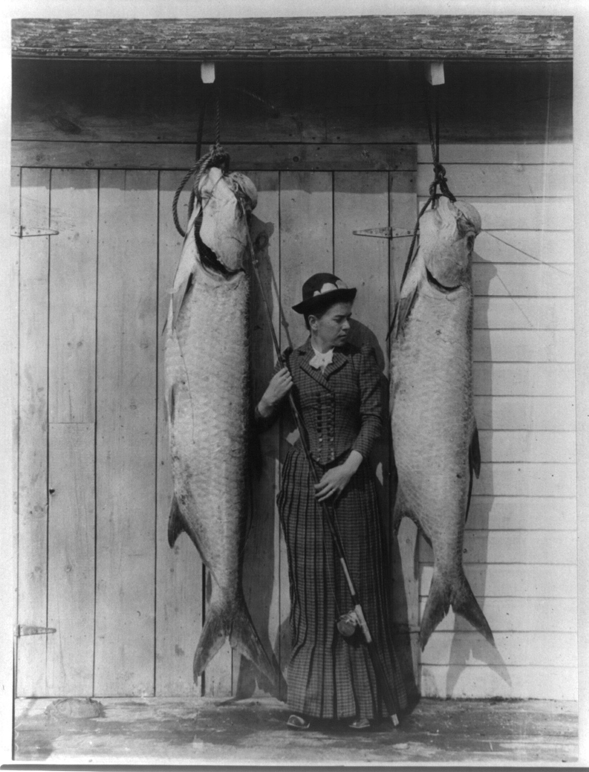 Tarpon caught by Mrs. Charles E. Allen of Glasgow, Scotland, at St. James City, Florida, [between 1884 and 1891] — historic photograph