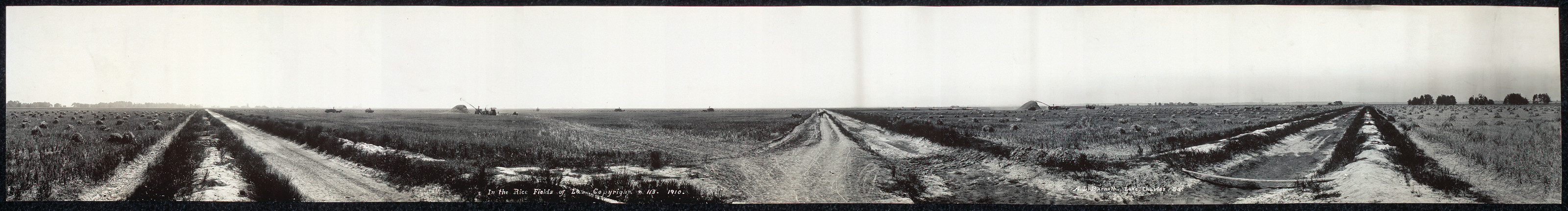 Louisiana Rice Fields, 1910, 1910 — historic image