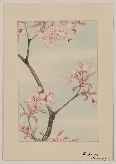 [Japanese drawing]