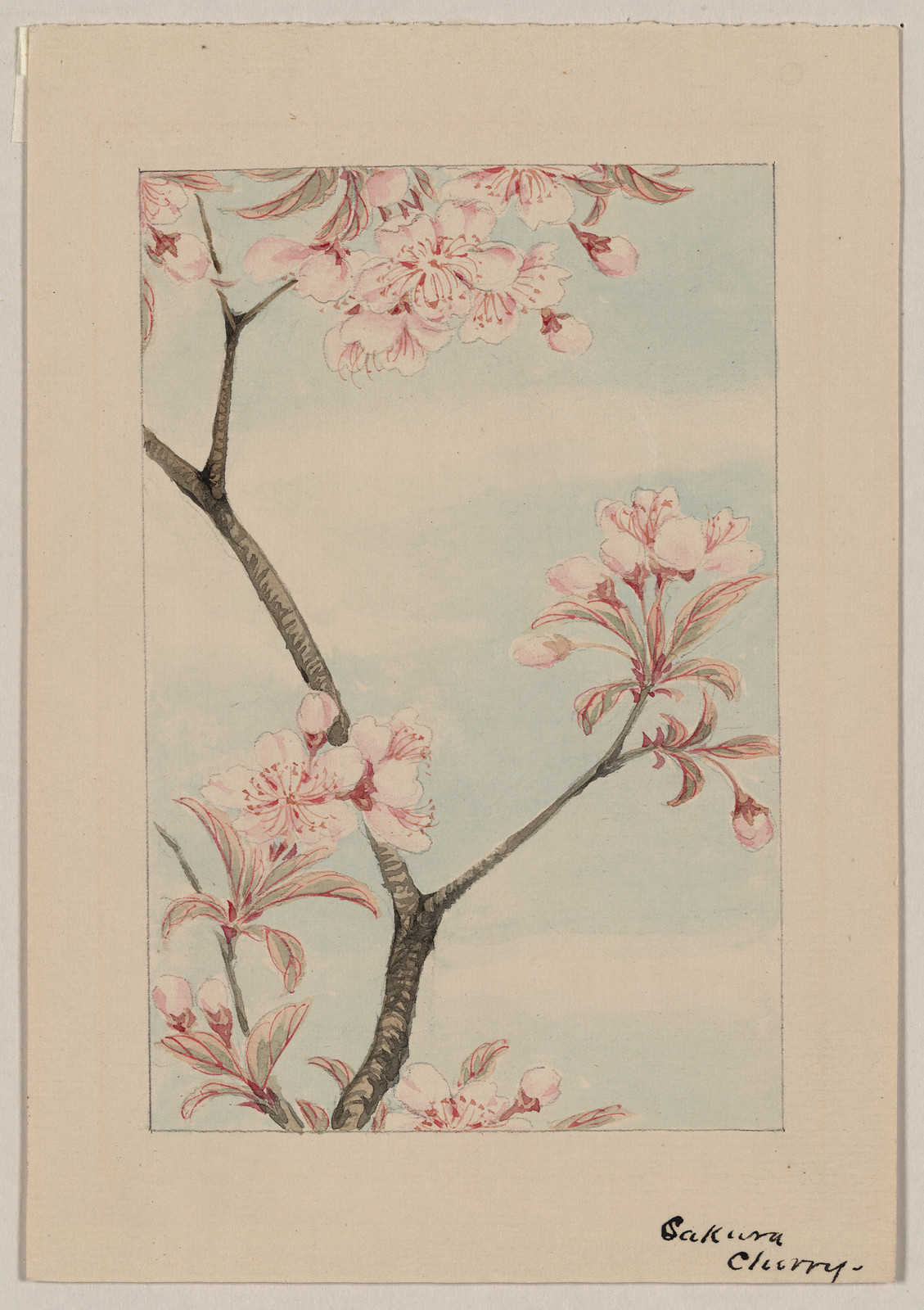 [Japanese drawing], 1750 — historic drawing