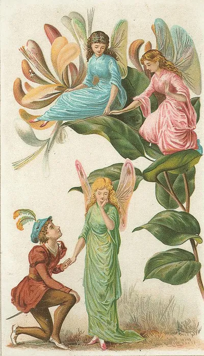 Winged fairies on honeysuckle with a kneeling youth
