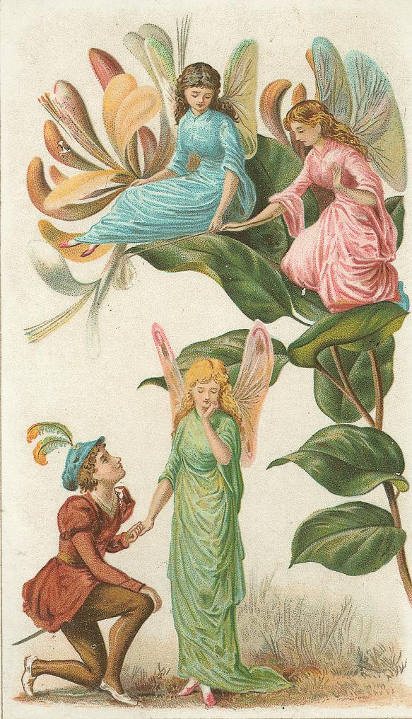 Winged fairies on honeysuckle with a kneeling youth — historic image