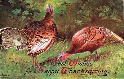 Thanksgiving