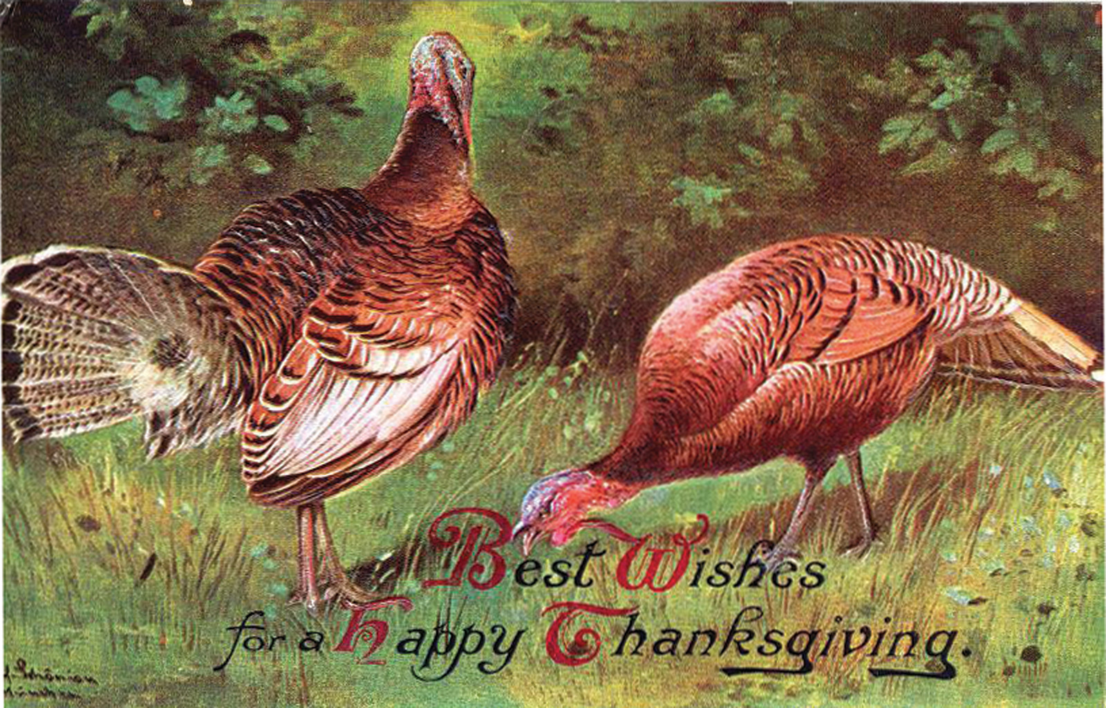 Thanksgiving — historic image