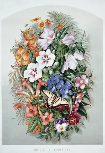 Wild Flowers, chromolithograph of flowers with a swallowtail butterfly