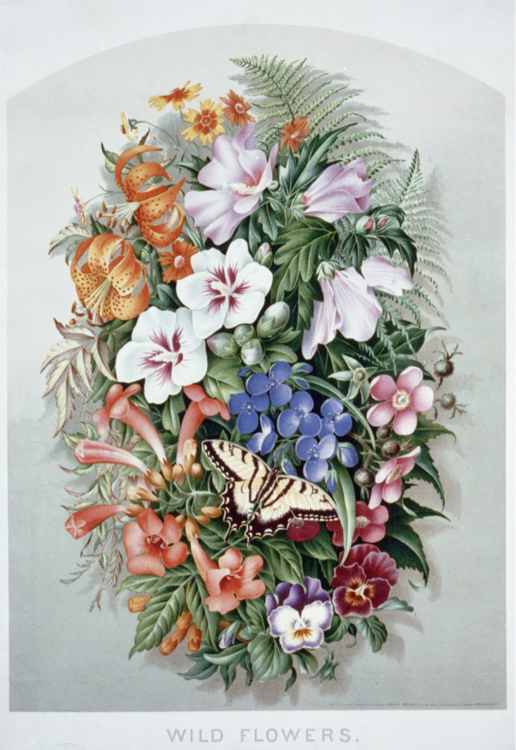 Wild Flowers, chromolithograph of flowers with a swallowtail butterfly — antique lithograph