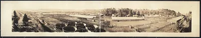 Remount Sta Camp Lewis Tacoma, Washington, 1913