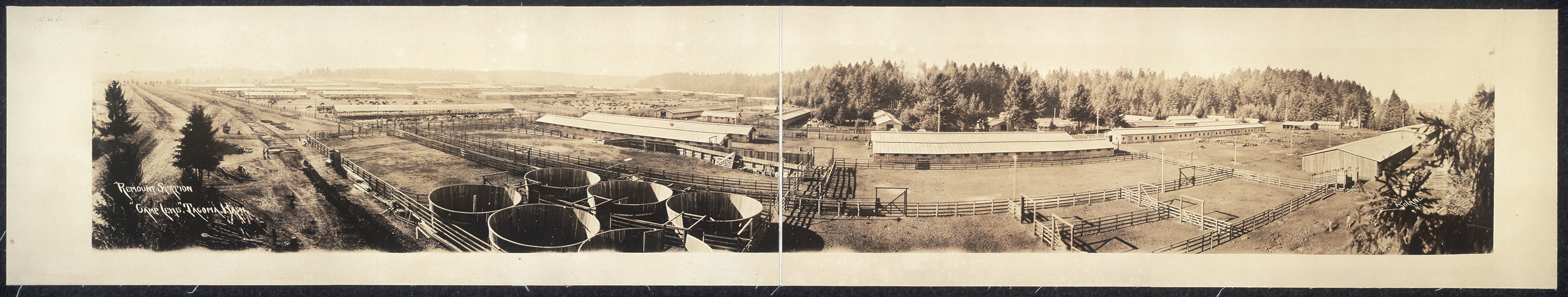 Remount Sta Camp Lewis Tacoma, Washington, 1913, 1913 — historic image