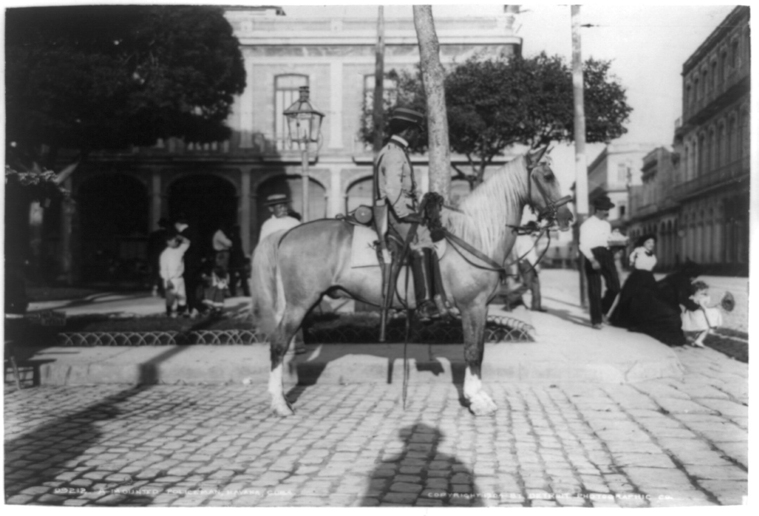 A Mounted policeman, Havana, Cuba, c1904. — historic photograph