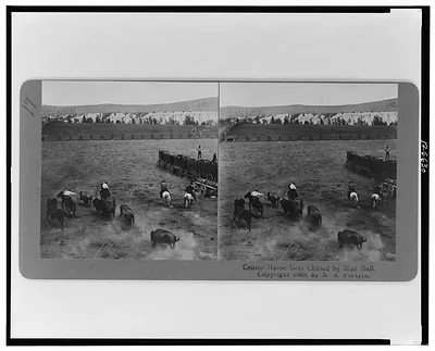 Center horse gets chased by mad bull
