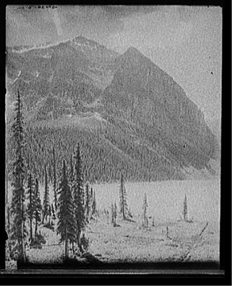 [Lake Louise from chalet, Lake Louise & vicinity, Alberta, Canada], [between 1900 and 1910] — historic photograph