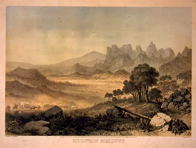 Mountain meadows / from nature by S.H. Redmond ; [drawn on stone by] H. Steinegger ; Lith. Britton, Rey & Co.