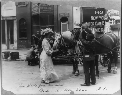 Sun hats for horses, Bide-a-Wee Home