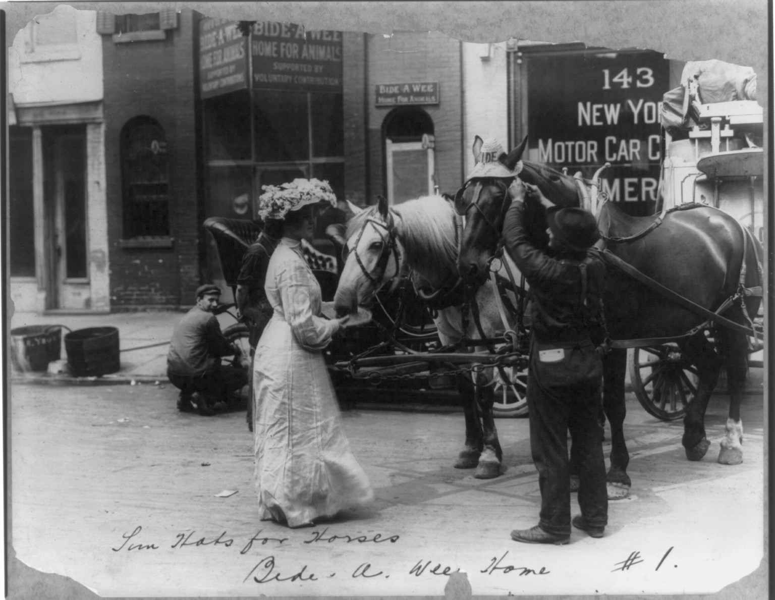 Sun hats for horses, Bide-a-Wee Home, c1907 Aug. 28. — historic photograph