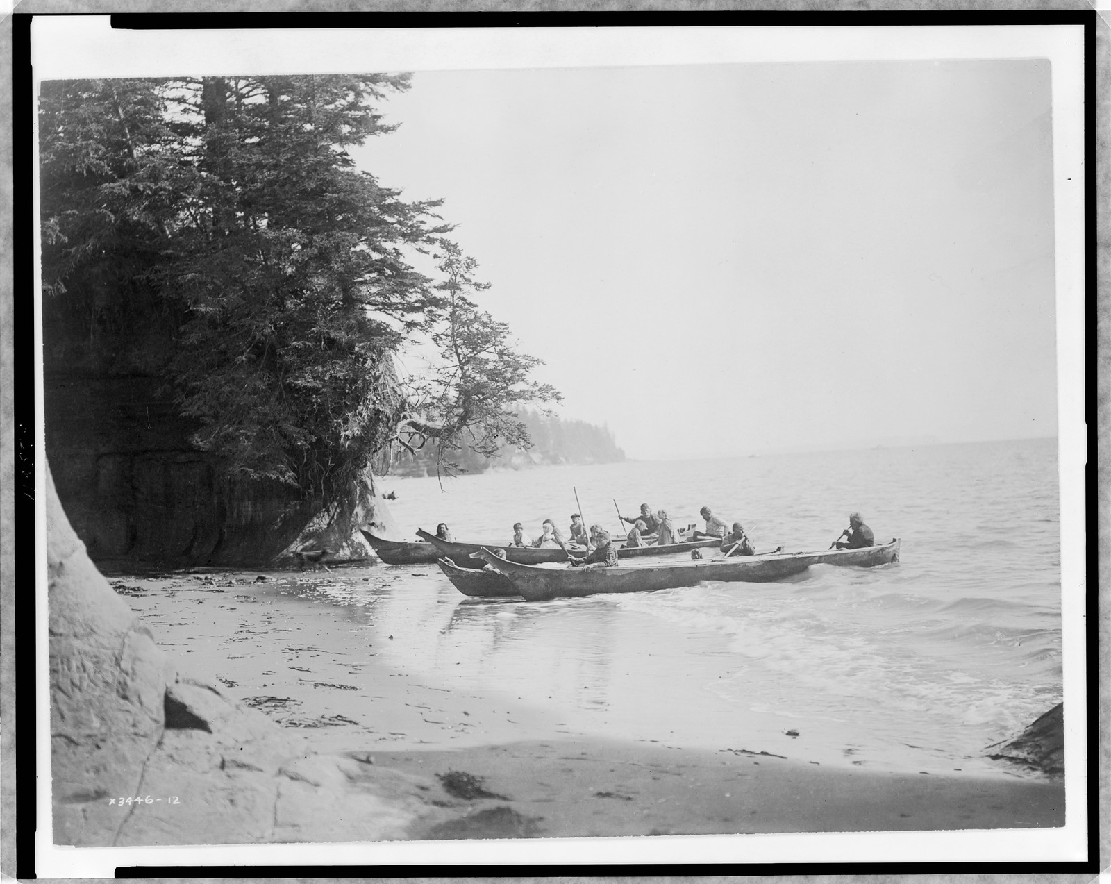 Shores of Shoalwater Bay, c1913. — historic photograph