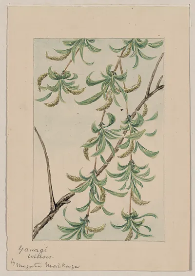 [Japanese drawing]