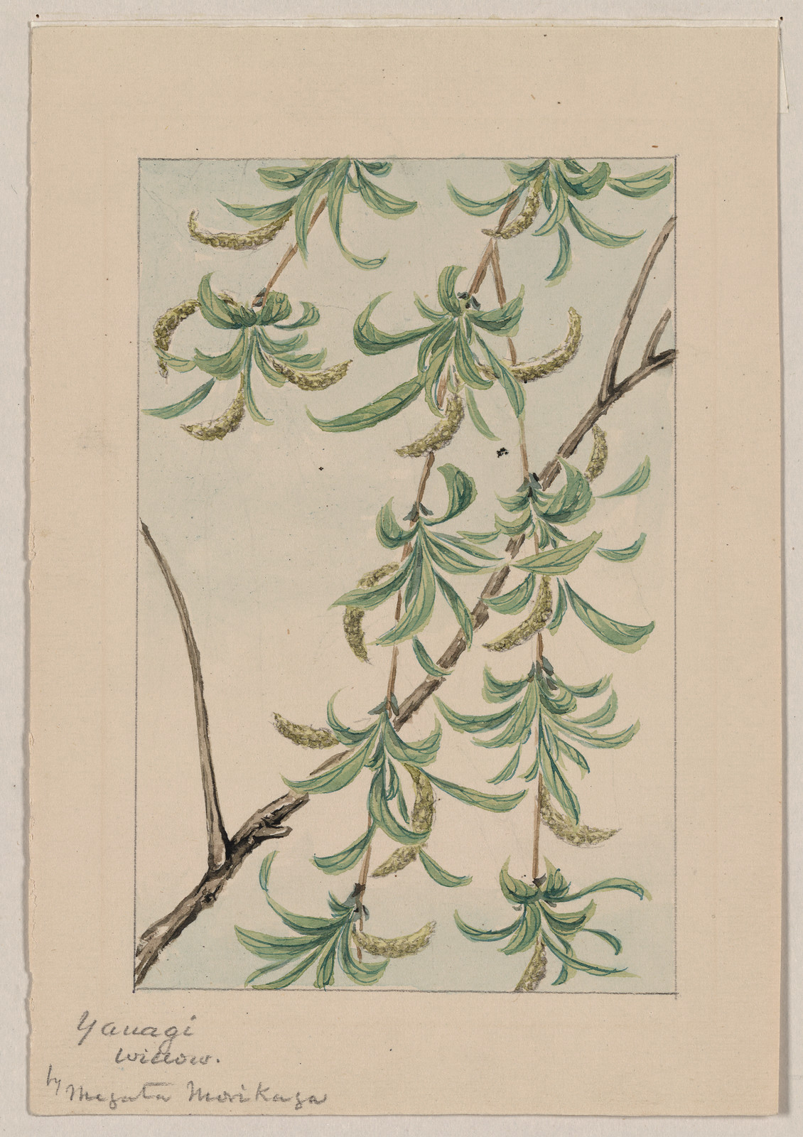 [Japanese drawing], 1750 — historic drawing