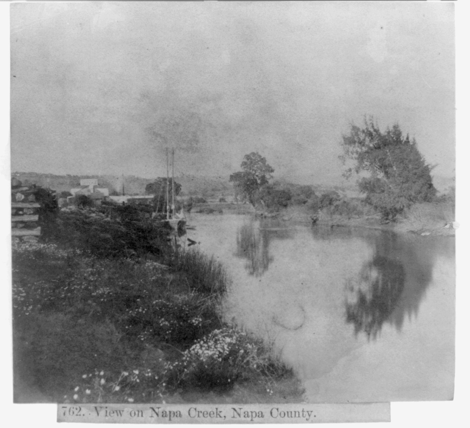 View on Napa Creek, Napa County, [published 1866] — historic photograph