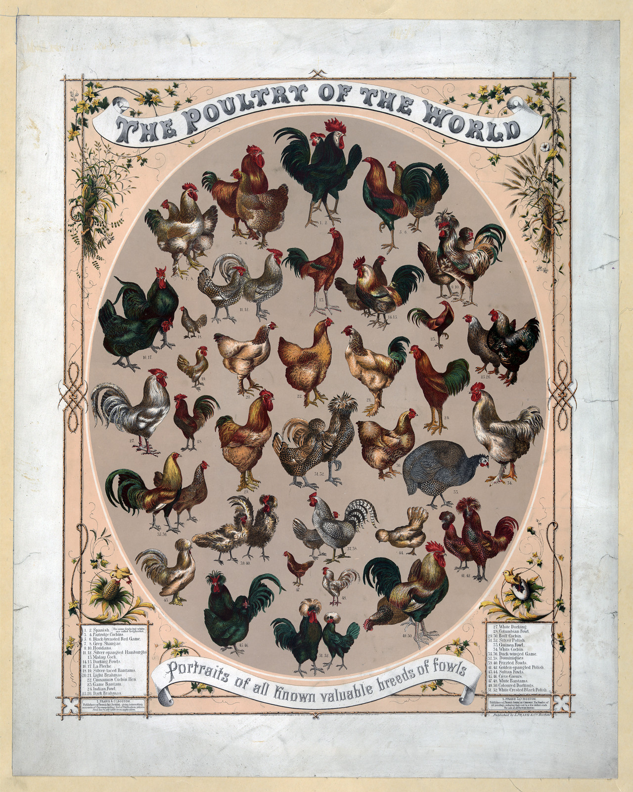 The Poultry of the World — historic image
