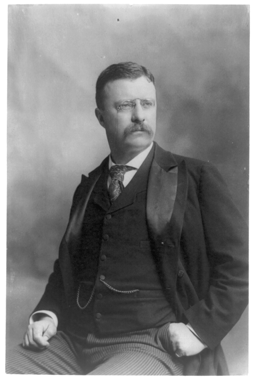 [Theodore Roosevelt, three-quarter length portrait, seated, left hand in pocket, facing right], c1900. — historic photograph