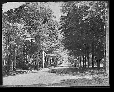 [Washtenaw Avenue, Ann Arbor, Mich.]