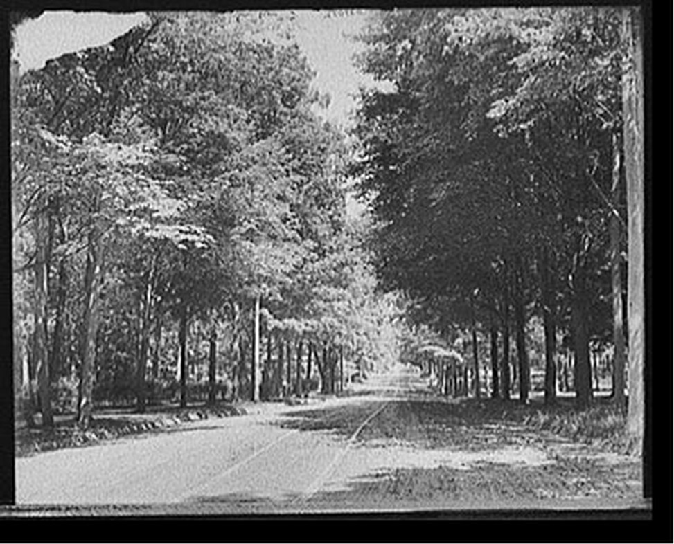 [Washtenaw Avenue, Ann Arbor, Mich.], [between 1900 and 1915] — historic photograph