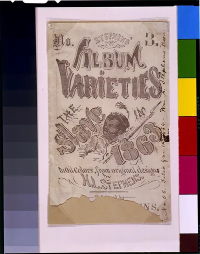 Stephen's varieties No. 3: The slave in 1863