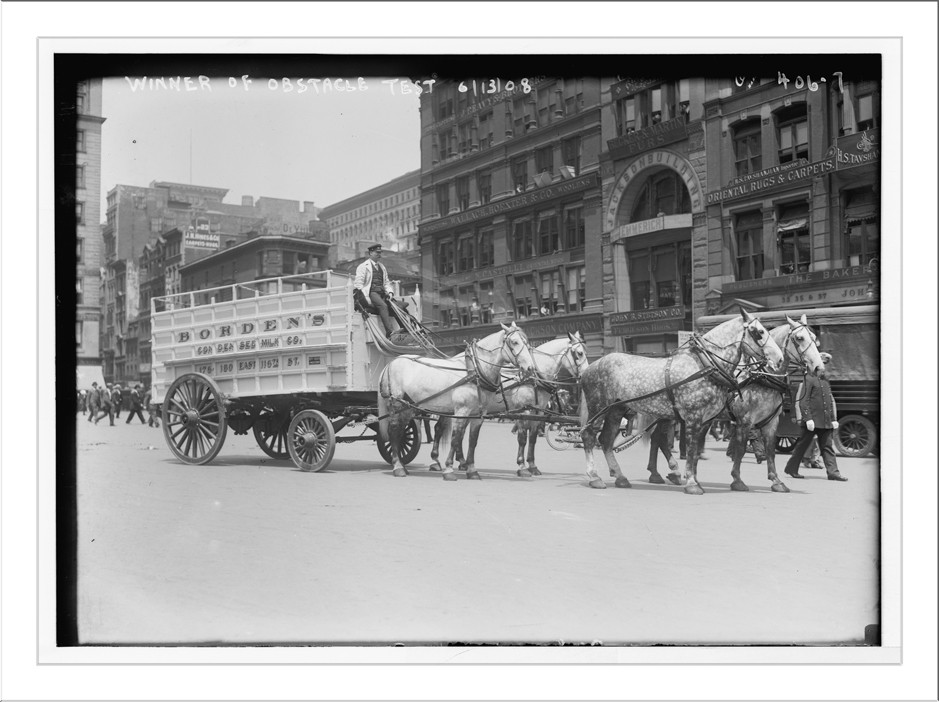 Work Horse Parade, Borden tem, winner, New York, 6/13/08. — historic photograph