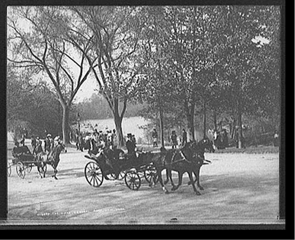 The Lake, Central Park, New York, c1905. — historic photograph