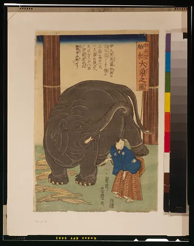 Chutenjiku hakurai ozo no zuTITLE TRANSLATION:Big imported elephant from India.