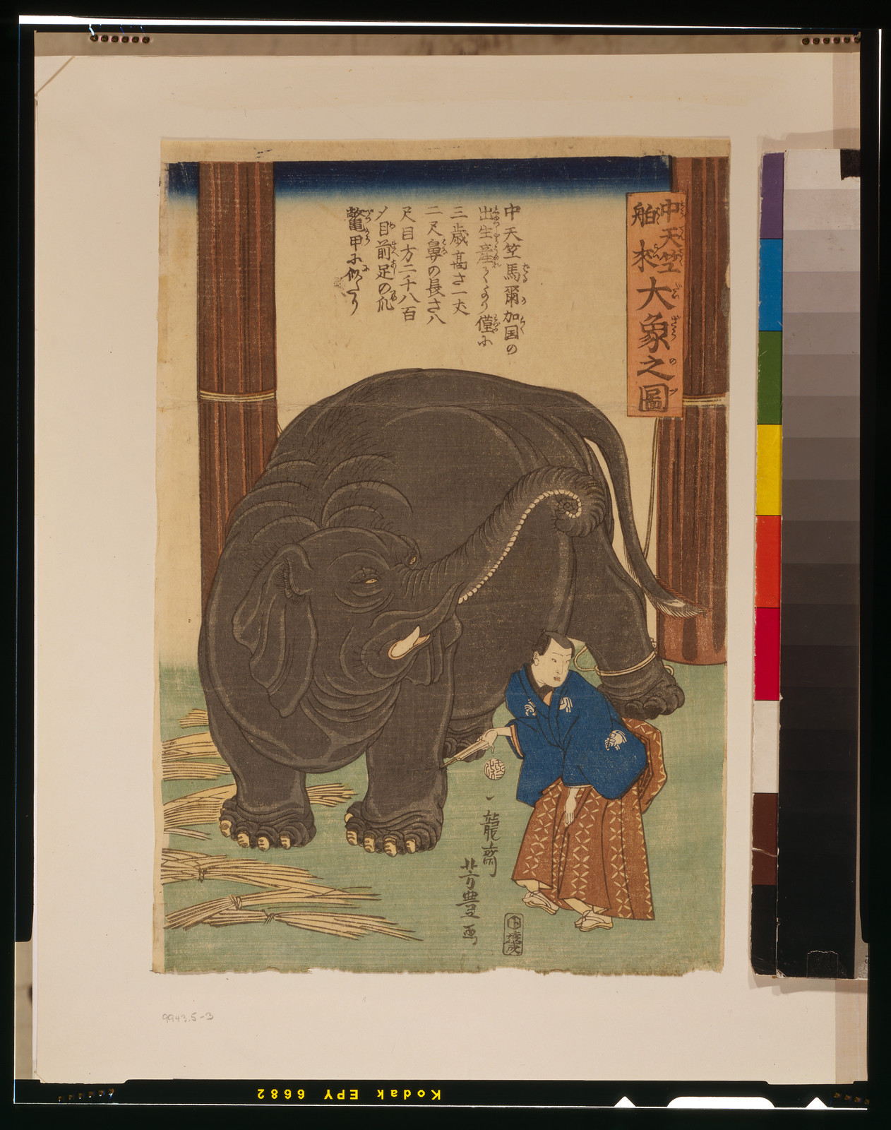 Chutenjiku hakurai ozo no zuTITLE TRANSLATION:Big imported elephant from India., 1863 — historic print