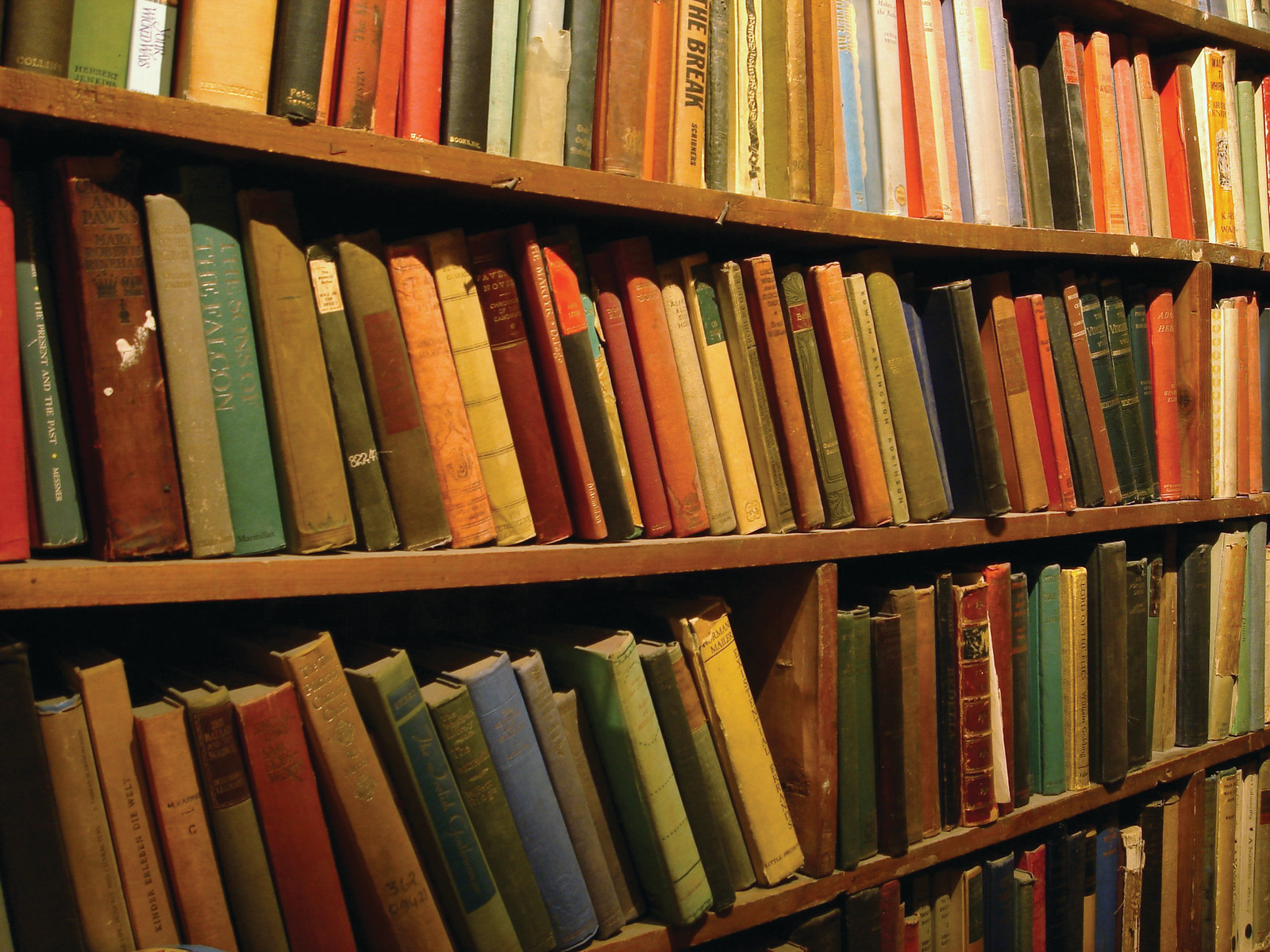 Bookshelves — historic image