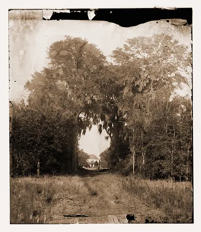 Seabrook South Carolina. Natural arch